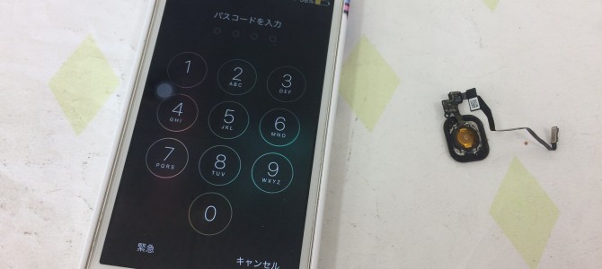 ◆神崎郡よりiPhone5s ホームボタン修理 -2016 12/8-