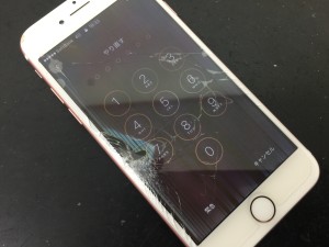 23E3B625-9602-44E5-9EAD-C2AF1F76A2B0