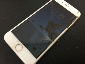 7F0A81BA-8B45-433D-8C47-BA91A6699347