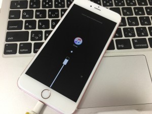 1A407C2D-BC02-40D2-A066-3788B87CBB2A