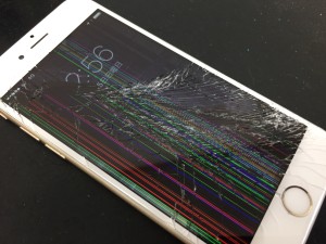 5CD47B6C-1DF3-4574-A56A-DD30FAC92403