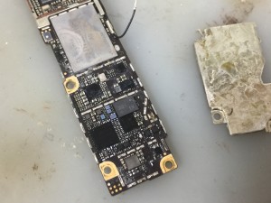 6AF08E43-5B56-4561-B3FC-5562DDB59CAA