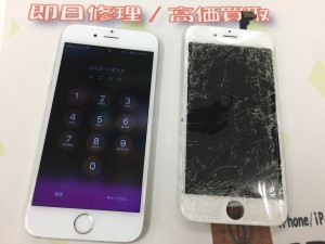 91C78CE7-F8A2-440C-8AD7-4A96ED3E57F4