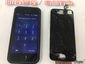 A137E424-B9C0-4B9F-B0DC-FC9262FC25A7