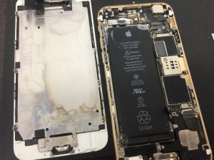 DCFD3168-2B28-4B93-AFF5-91EC43D3665E