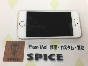 E7E9CD2B-102A-49DD-BE0C-DDAF5CF267C9