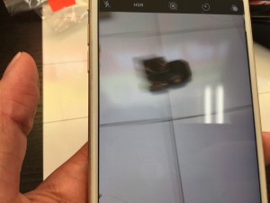 2756C222-6AAF-4D43-B1F5-FDBBEFEA5021