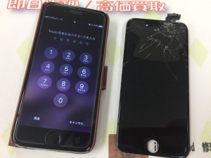 991677C6-6089-4F13-A290-A54E93CF0315