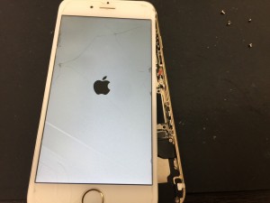 A2F60B61-853D-4A41-BDA1-FBCC1790A7EA