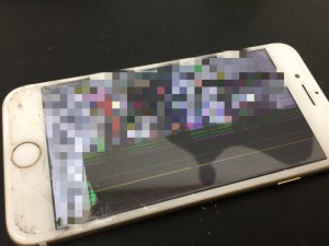 EA08172C-076E-4630-8E2D-E679CC824007