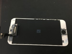 F9D17C9F-F0B9-426D-AAEF-16365B6613E4