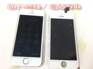 0C5D69C5-B731-40BE-86B9-063F36E0EF2F