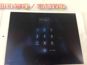 1CC89576-E389-404A-A68E-0F4453875248