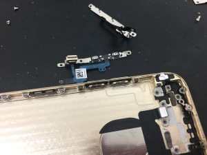 403CC78F-2432-4CA0-8F82-F589289E1D68