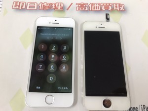 1687609B-8F2F-42A8-8EAF-C7B042E15D8E