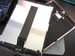 1ED79F4D-201E-46C2-A8D9-432FADA84E11