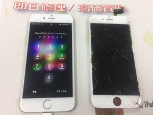 CC8C8469-B2B1-420C-B2A3-2499EF62E3E6