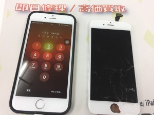 D3F6AB6E-C8DA-45BD-A044-2DA002993A92