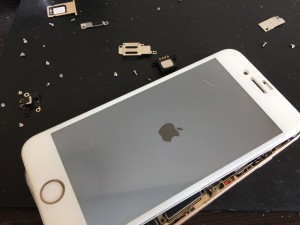 EE19ACE9-AF63-4A42-B33D-719C6E310D83