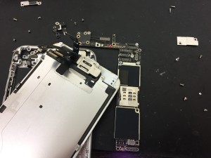 F5F03371-FFC2-4F20-9275-CCEC5FC50D26