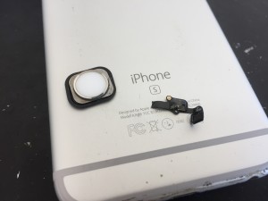 07CBC0D0-1AEF-4231-A548-AC1C6C378624