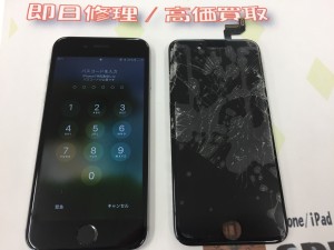 0AED16F9-DBA5-4FD5-884C-A4F6AA6BD32E