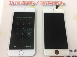 1F9D937A-9440-4A88-891E-6BF17D06CB44