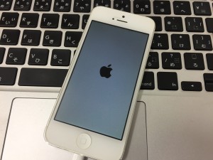 33D54F06-60F2-43BB-975E-BCD4F684A035