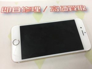 9AA08403-1FFE-4A9D-9E2E-FC18725B9DA4