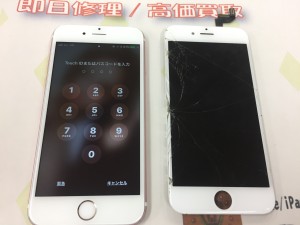 B0F70A71-9FC8-400E-8C35-BEF2296CACA6