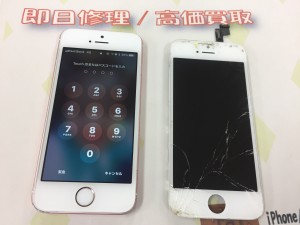 F02AE99E-69E2-45DA-8A0A-9F7B1FA48491