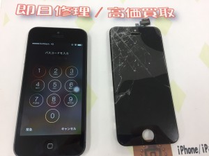 2ACE47DA-32AB-42E0-A66E-30649F2F4736