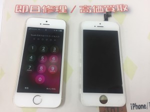 65DECA45-93EC-47AE-9E69-0F91A1B0D192