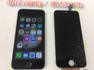 77B88CFD-1CE2-4002-9CD6-6443D6224885