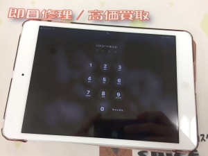 99B6C655-E98B-454E-BA06-038B60FB20D9