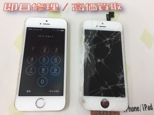 2E160418-E239-4893-A5EA-77DB07E5DCD0