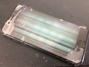 50691C5F-EA3E-4806-8AE1-198E42CD9CA9