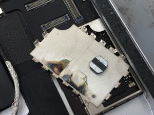 8A687629-657B-4F1D-8E62-C0CE32076F9A