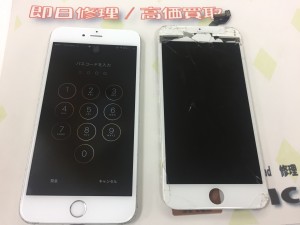 E83F8EFF-89CC-4187-B6E8-D48CDFDE39E6