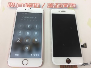 13C2C750-43EB-44CD-B11B-BF3D458B9793