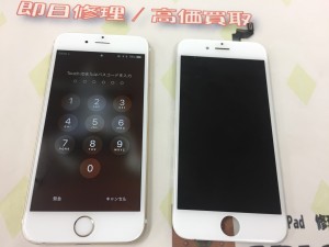 16B38481-08B6-4BC1-8AEF-46D2E6993A48