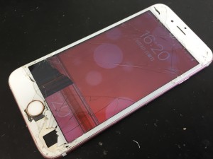 306F435D-A16E-4776-8CC2-9E92B35280A7