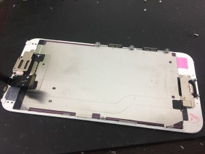 CA5E1A19-D570-44D9-9188-65B99AA37F4B