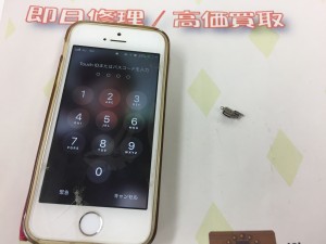 DB71E0C5-0722-49C4-B236-E3DCB8875029