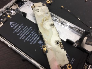 EB6189BB-3160-42A0-B6DD-42C2D9535B3C