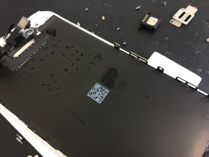 3FAEC152-EFA3-449A-B27B-A81415C18846