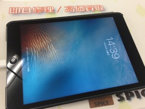 4DDF12EB-49F1-49D5-917E-E9A42E48F006