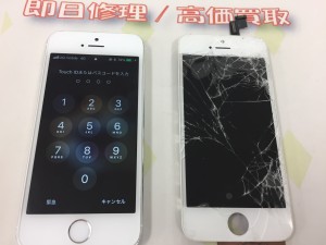 6FFDBB2A-0FA5-4E94-8895-542CFC2E52B3