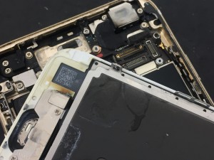 828CC2A1-9C1C-4BA2-A706-3BBE76BBF2D1