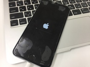 C2B8548E-B6B4-490F-BF57-D6003E9851C2